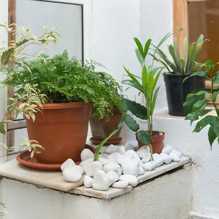 La Divina Apartment